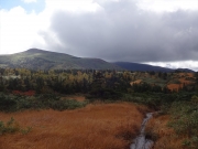 田代平から眺める紅葉と乳頭山